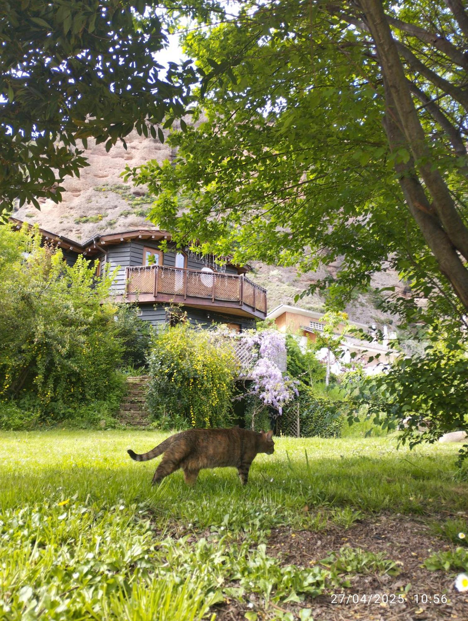 Islallana La Casa Verde מראה חיצוני תמונה